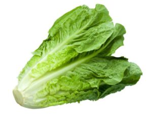 rOMAINE