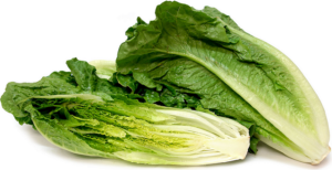 Romaine