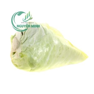 bắp cải trái tim