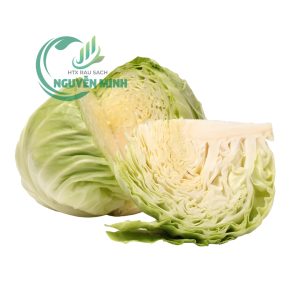bắp cải tròn