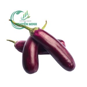 cà tím đà lạt