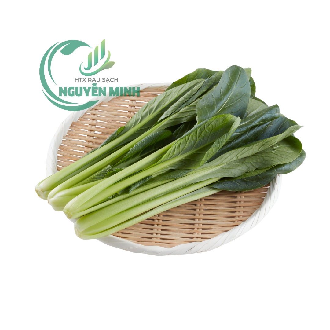 cải ngọt VietGAP