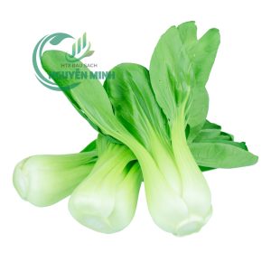 cải thìa VietGAP