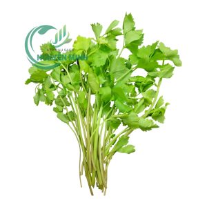 cần tàu vietgap