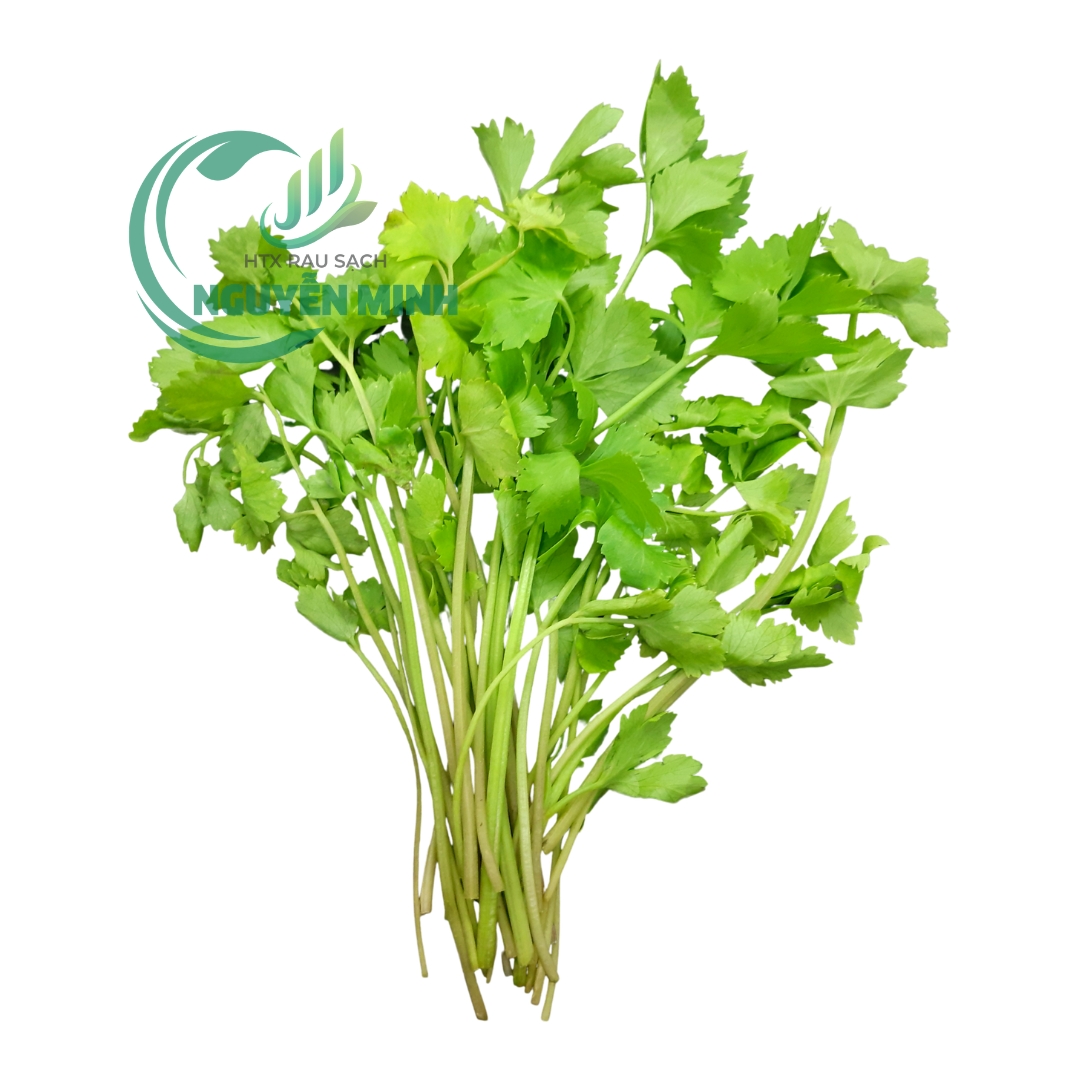 cần tàu vietgap
