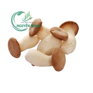nấm đùi gà sạch