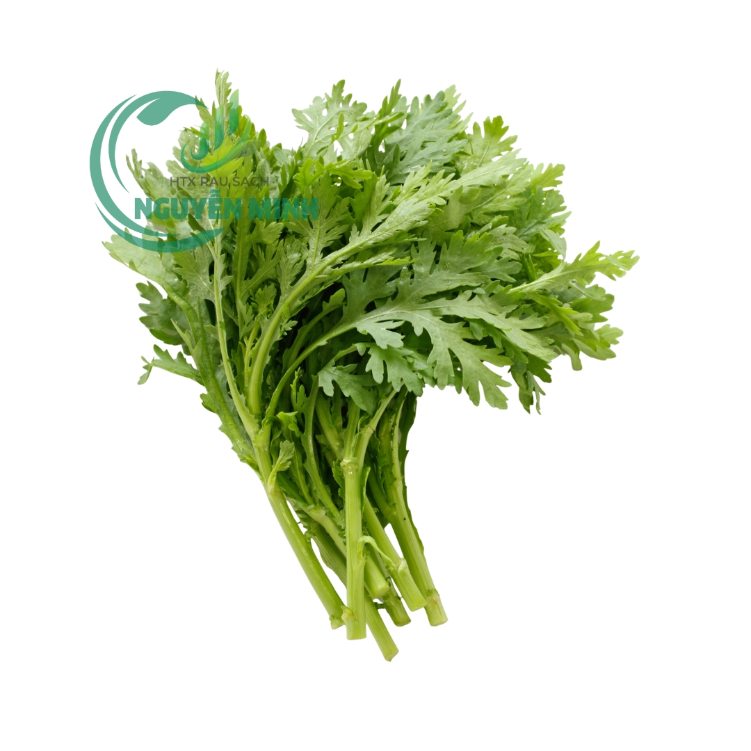 Tần ô Đà Lạt