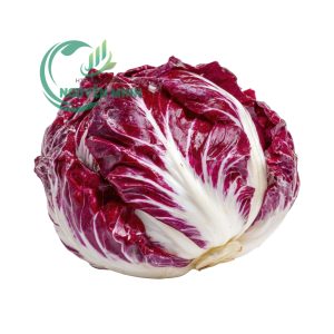 Xà lách Radicchio Đà LẠt