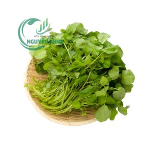 xà lách xoong Đà Lạt