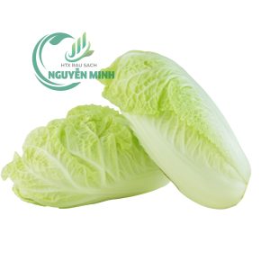 cải thảo đà lạt