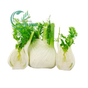 củ hồi