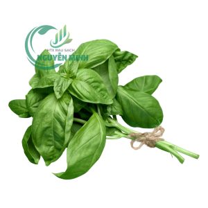 quế tây (basil)