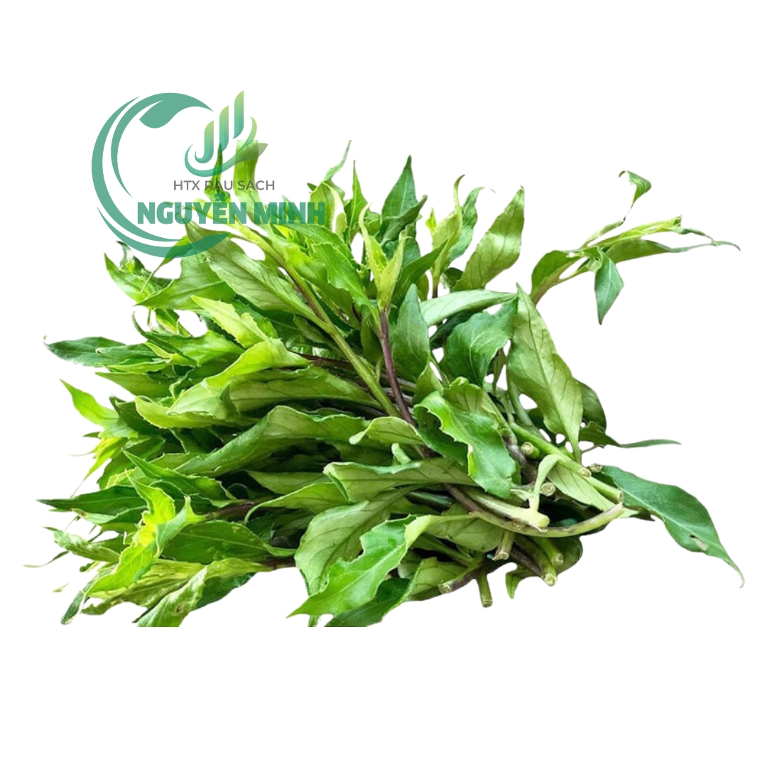 Rau lủi rừng