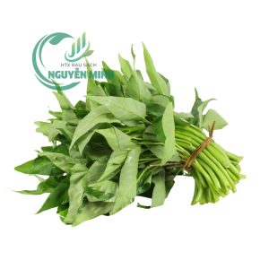 rau muống vietgap