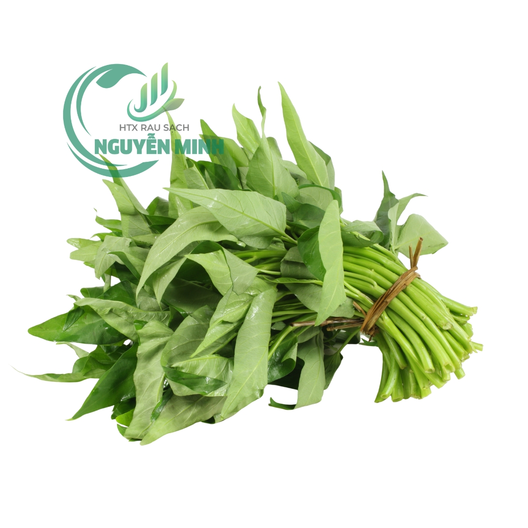 rau muống vietgap