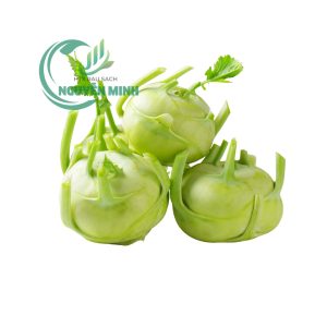 su hào đà lạt
