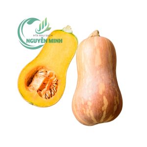 bí hồ lô
