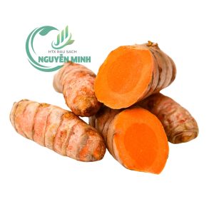 củ nghệ vietgap